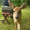hollyschulze - @hollyschulze - TikTok