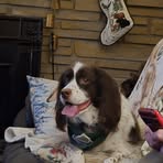 Holly Scribner - Facebook