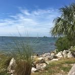 Holly Scribner - Facebook