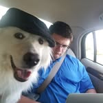 Holly Sims Monigold - @lucylugreatpyr - Instagram