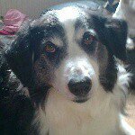 holly slack - @hollyslack2003 - Instagram