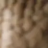 hollyspaulding521 - @hollyspaulding521 - TikTok