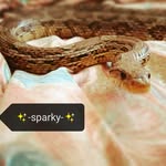 holly - @holly_stacey11._ - Instagram