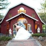 Holly Staley - @hollyreneestaley - Instagram