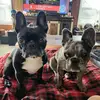 Holly Stern - @holly.stern - TikTok