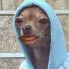 Holly stringer - @holly.stringer - TikTok