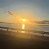 Hollyn✨ - @hollyn.thrasher_1712 - TikTok