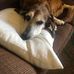 Holly Thurman - Facebook