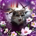 Holly Trudeau - Facebook