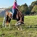 Hollie B Vann - Facebook