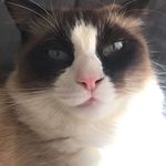 Holly - @holly_vanniii - Instagram