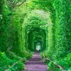HollyWalls - @stewaaly4u2 - TikTok