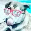 holly_webber_1 - @holly_webber_1 - TikTok
