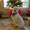 Holly Wight Back - @hollywightback - TikTok