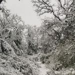 Holly Willard - @hdmw.47 - Instagram