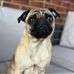 Hollie Withers - Facebook