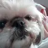 Hollywithers - @hollyw5 - TikTok