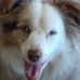 Holly Wolcott - Facebook