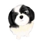 Holly Wong - @_holly_wong - Instagram