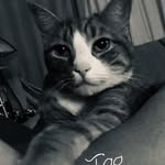 Holly Wong - @holly.wong.771 - Instagram