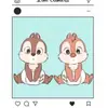 HollyWong - @hollywongboudixf - TikTok