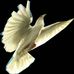 Holly Spirit At Work - Facebook