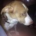 Holly Wright - Facebook