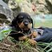 Holmes Lopez - Facebook