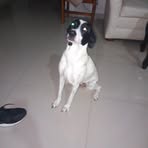 Carlos Holmes Galvez Naranjo - Facebook