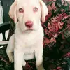 Holmes Vargas Naranjo - @holmes.vargas.nar - TikTok