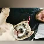 Holt Johnson - @hmfj1984 - Instagram