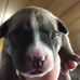 Holt Johnson - Facebook