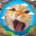 Holt Miller - Facebook