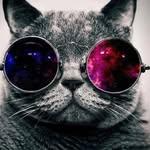 @holtpattersontwitch - Instagram
