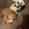 Cathy Holt Smith - @cathy.holt.smith - TikTok