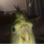 @_home_max_ - Instagram