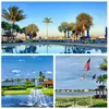 MOVE TO SUNNY FLORIDA - @homemaxrealtyflorida - TikTok