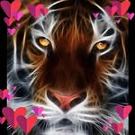 Homer Andrade - @homerandrade61 - Instagram