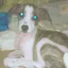 Homero Andrade - @homero.andrade - TikTok