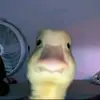 MXerik10 - @homerandrade615 - TikTok