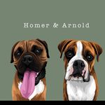 Homer & Arnold - @the_goodboyboxerbrothers - Instagram