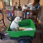 Homer Bailey - @ra16583621 - Instagram