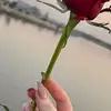 Homer Boone - @homer.boone4 - TikTok