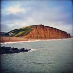Homer Brooks - @urpenguinsocial - Instagram