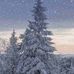 Homer Cunningham - Facebook