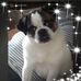 Andrew Homer Edwards - Facebook