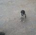 Homer Jacobs - Facebook