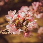 Homero Prohmann - @homero.prohmann - Instagram