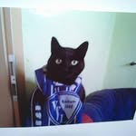 hommer - @homermann1974 - Instagram
