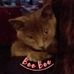 Homer Morris - Facebook